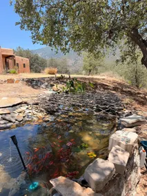 Artist retreat in the mountains - Image 3