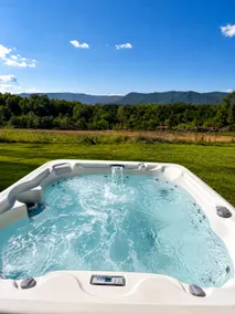 “Hatfield Homestead” Blue Ridge Mountain Retreat - Image 2