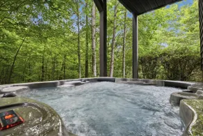 Fox Hollow Views Hot Tub Game Room Play Area - Image 3