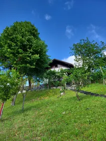 A weekend in a quiet location - Image 2