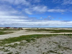 Beach House - Musgrave Harbour, NL - Image 2