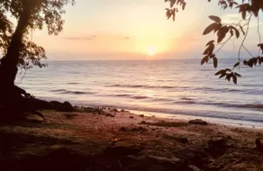 Amazon Beach Mosqueiro Guesthouse - Image 5