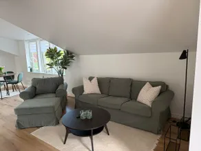 Newly built apartment in the countryside - Image 4