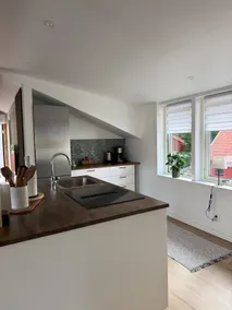 Newly built apartment in the countryside - Image 3