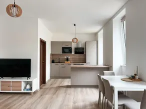 Apartment in Karlovy Vary - Image 2