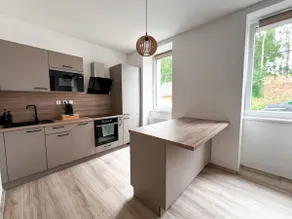 Apartment in Karlovy Vary - Image 5