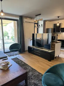 Duplex with Hot Tub & View of the Gave - Image 4