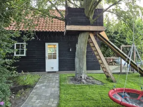 Onder de Beuk - Image 5