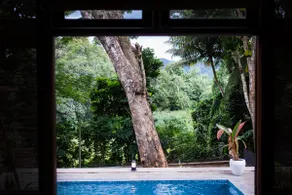 Tropical Grove - Image 5