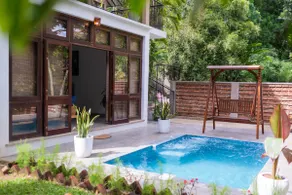 Tropical Grove - Image 2