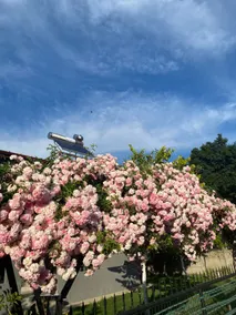 From: 2 - Image 3