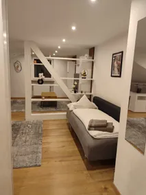 Luxurious penthouse apartment for feeling comfortable - Image 3