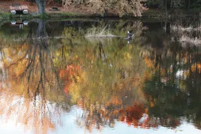 Scenic Apple River 4BR Retreat - Fish Tube & Kayak - Image 5