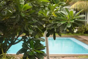 2 bedrooms Apartment Riviera Sublime - Image 4