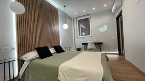 Central Quality Apartment Spa Salamanca - Image 2