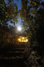 Glass cabin in the midst of the forest. - Image 3