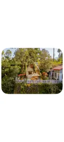 Silent wood retreat - Image 5