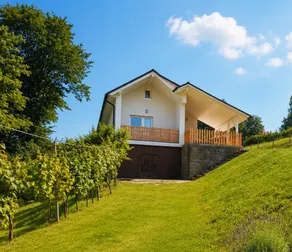 Vinea Apartma - Image 2