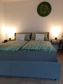 Vinea Apartma - Image 3
