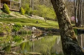 Private Pond & Music Lounge @ Luxe Creekside Cabin - Image 5