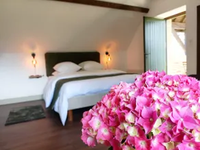 Guesthouse - Image 3