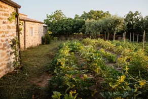 Mola&Prentza - Stone House & Organic Garden - Image 2