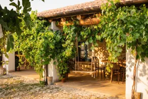 Mola&Prentza - Stone House & Organic Garden - Image 5