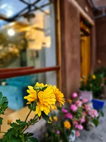 House in the Sacred Valley - Image 4