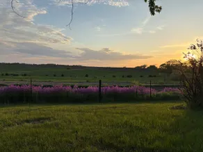 Sunset Ridge Farm - Peaceful Iowa Retreat - Image 3