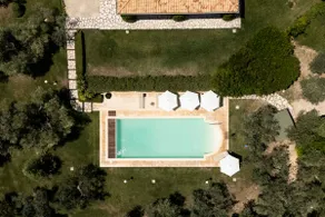 Tenuta degli Ulivi - Image 5