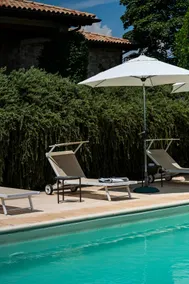 Tenuta degli Ulivi - Image 3