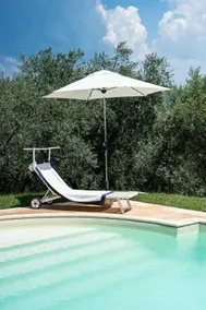 Tenuta degli Ulivi - Image 4