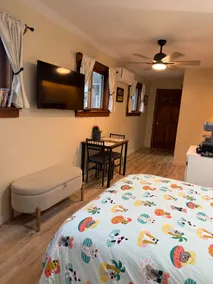 BRAND NEW Guest Suite! - Image 2