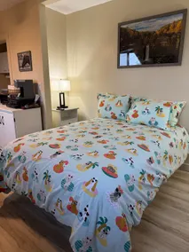BRAND NEW Guest Suite! - Image 3