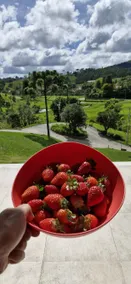 4 suites in the Serra • View and Heated Pool - Image 5