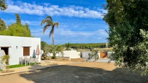 Golondrinas Verdes - Image 2