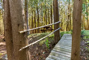 Stone And Timber | Private Forest Retreat With AC - Image 2