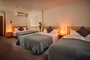Up to 11 people / 116 m² private house / parking for 2 cars / convenience store 1 minute on foot / with a multi-purpose space - Image 2