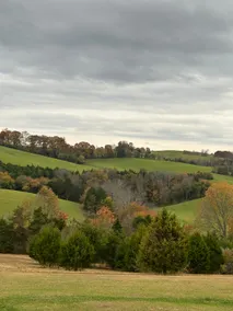 Healing Grounds - Image 5