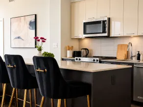 3BR Penthouse | Tysons Skyline Views | 85 in TV - Image 2