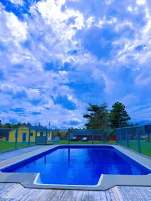 Whispering Pines | Pine Forest Retreat Cabin 2 - Image 3
