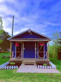 Whispering Pines | Pine Forest Retreat Cabin 2 - Image 4