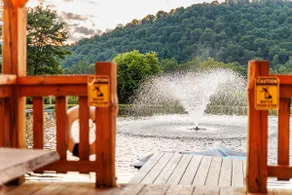 Cabin on Private Pond | Kayak, Fire Pit, Swing Set - Image 4
