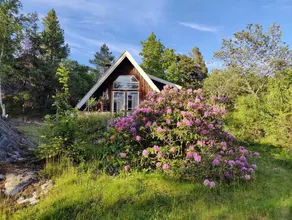 Eco-house in the woods near swimming in the sea. Quiet atmosphere. - Image 5