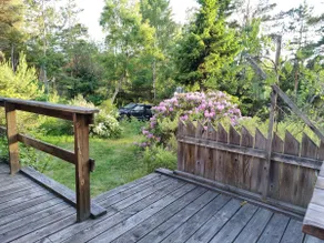 Eco-house in the woods near swimming in the sea. Quiet atmosphere. - Image 2