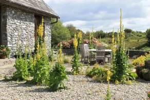 Beautiful Stone Riverside Retreat Galway - Image 5
