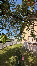 Magnolia Retreat - Image 4