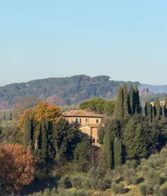 Villa La Pergola - Image 3