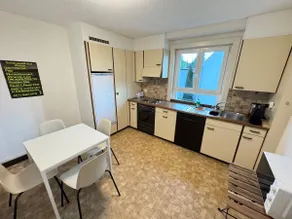 Charming 2.5 rooms apartment - 5min walk to Limmat - Image 3