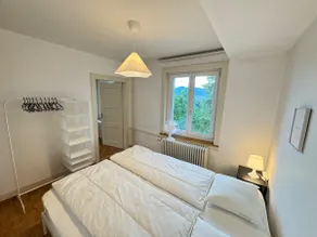 Charming 2.5 rooms apartment - 5min walk to Limmat - Image 2